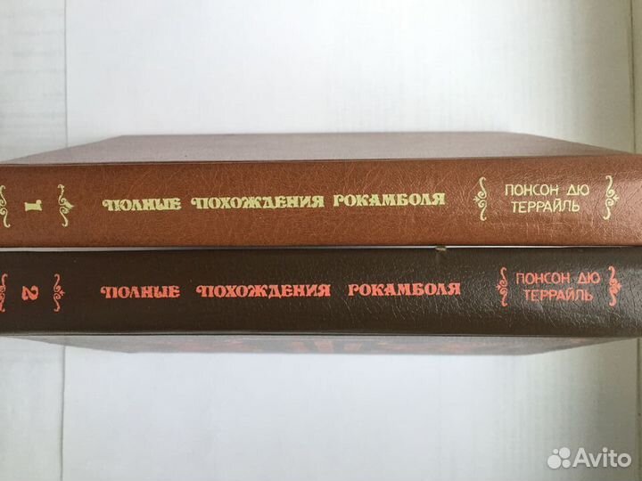 Приключенческий роман в 2-х книгах