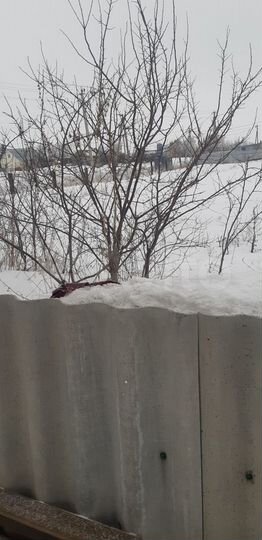 Участок 15 сот. (ИЖС)