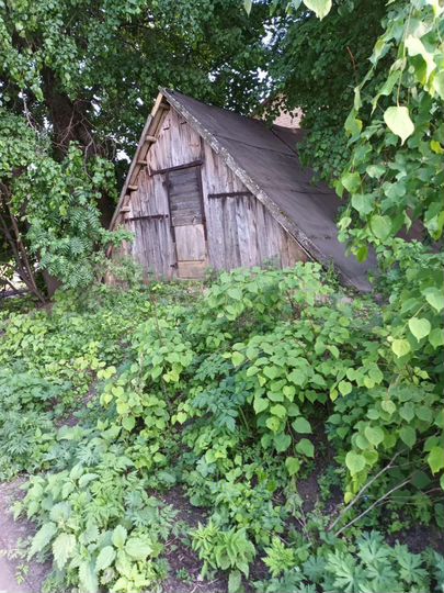 Участок 24 сот. (ИЖС)