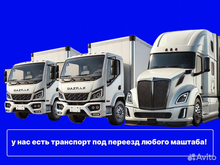 Грузоперевозки переезды из/в Казахстан/Беларусь