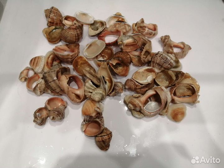 Набор для аквариума