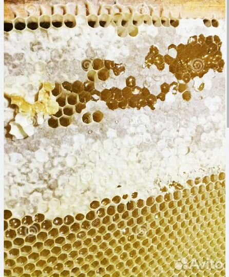 Рамки медовые для пчел