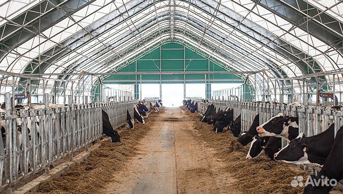 Разнорабочий с ежедневной оплатой