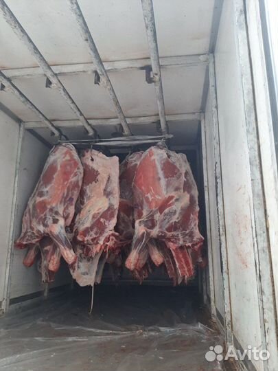 Грузоперевозки на машине Hyundai рефрежиратор