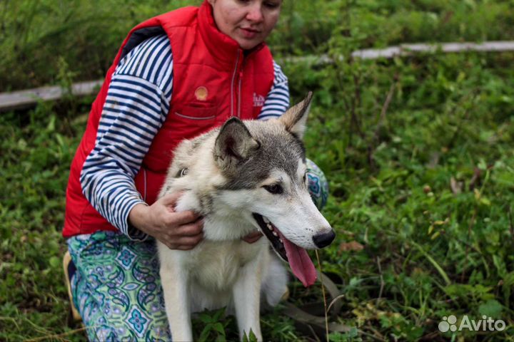 В любящую семью