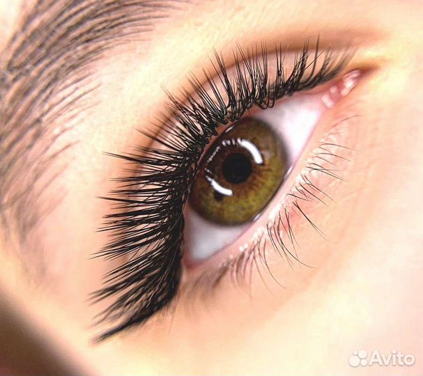 Обучение с нуля