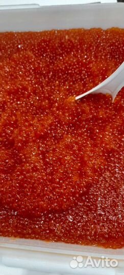 Икра горбуши