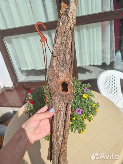 Кора дрифтвуд, кашпо