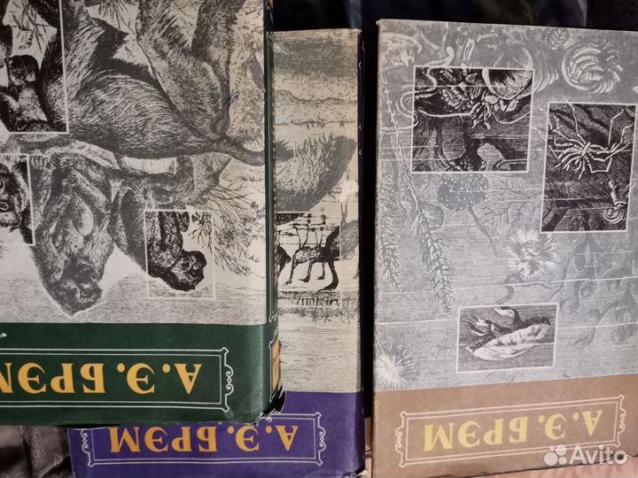 А. Брэм, энциклопедии о животных