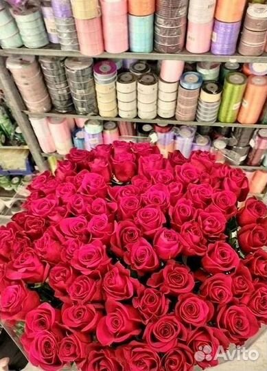 Розы Цветы Букеты 25 151 201 101 301 501 опт
