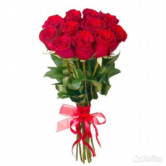 Длинные розы. Гиганты. Эквадор