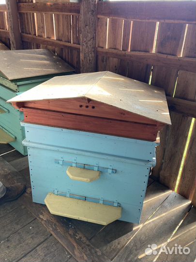 Ульи для пчел