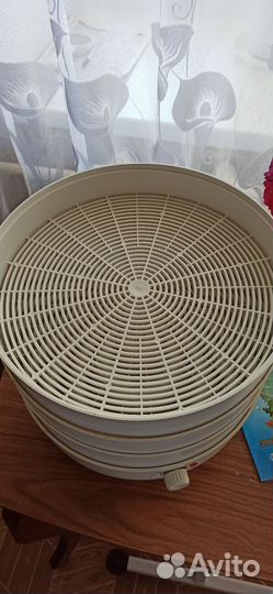 Электросушилка для овощей и фруктов