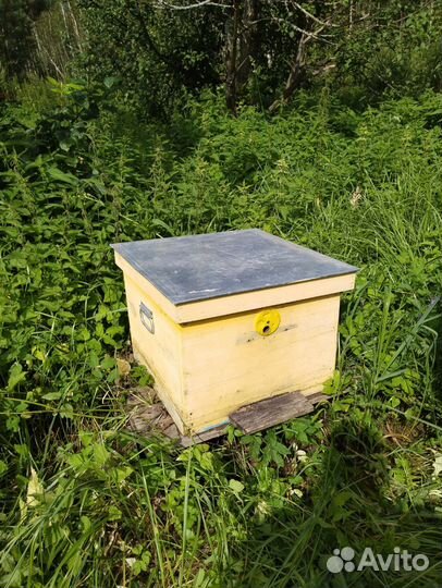 Улей для пчел
