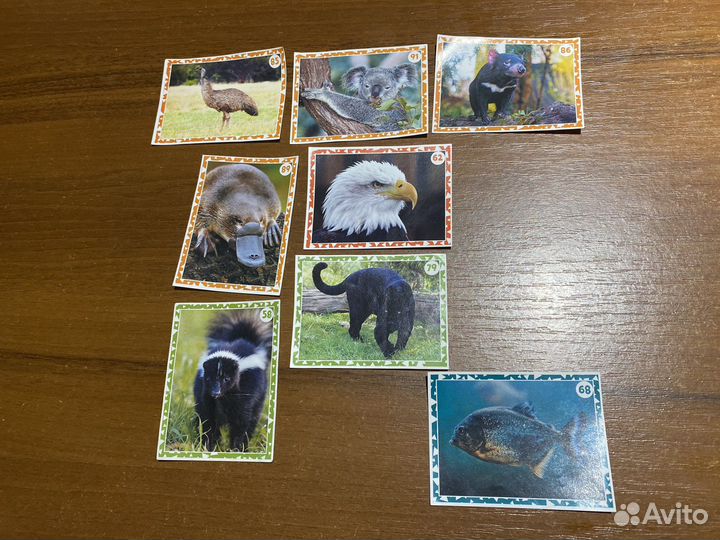 Наклейки 3Д Живая планета