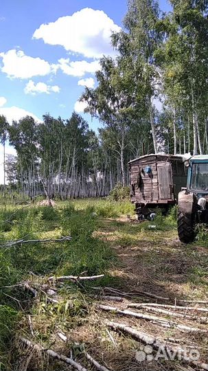 Дрова колотые, березовые