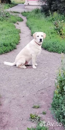 Кабель для вязки