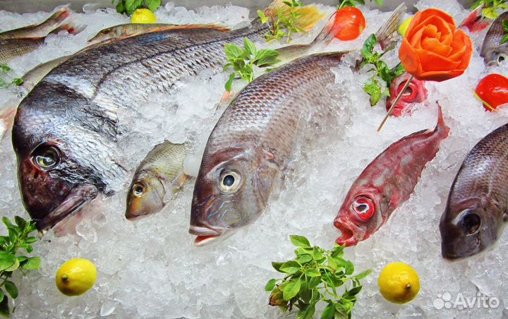 Продается рыбный магазин – готовый бизнес