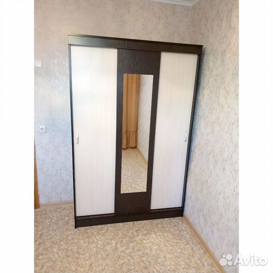 Шкаф купе венге с зеркалом Бася Бассо