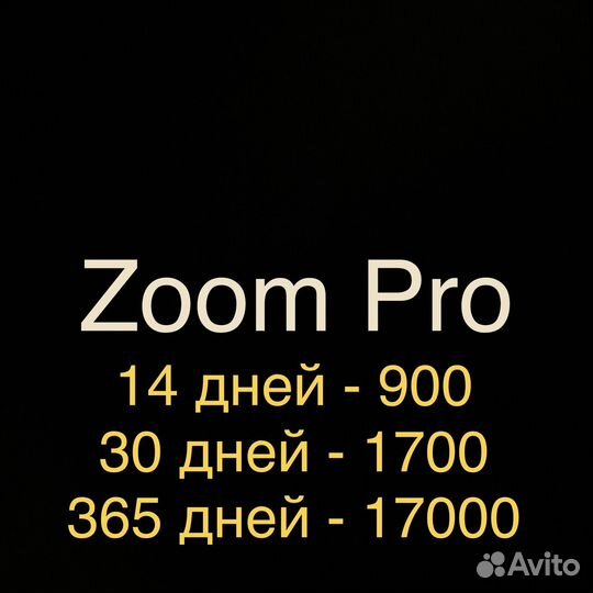 Подписка на Zoom Pro