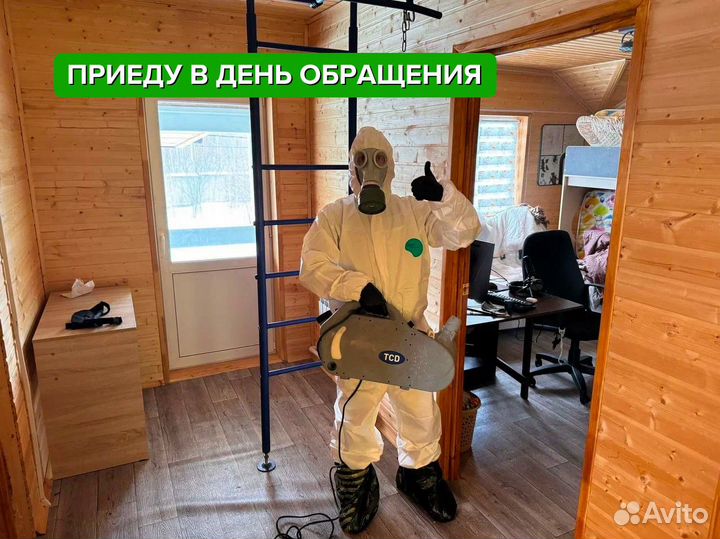 Уничтожение клопов тараканов. Дезинфекция