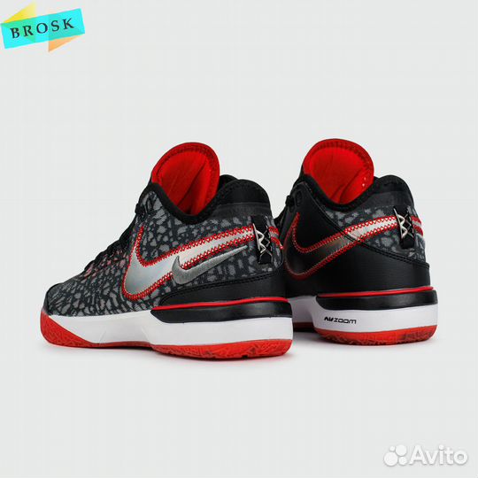 Кроссовки Zoom LeBron nxxt Gen EP Bred