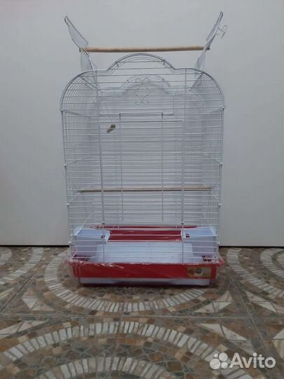 Попугай неразлучники