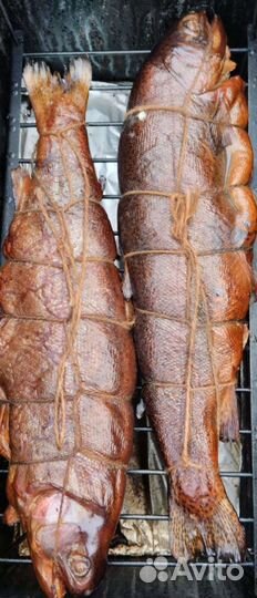 Форель горячего копчения