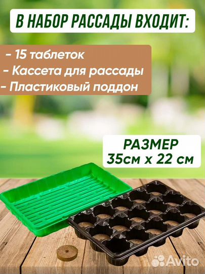 Набор для рассады с торфяными таблетками 15 ячеек
