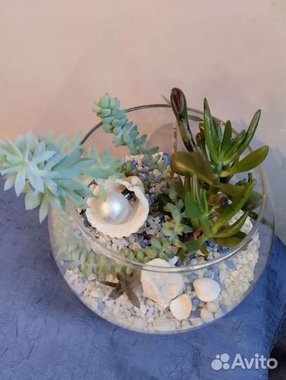 Суккуленты в стекле