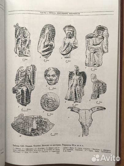 Античные государства Северного Причерноморья (Архе