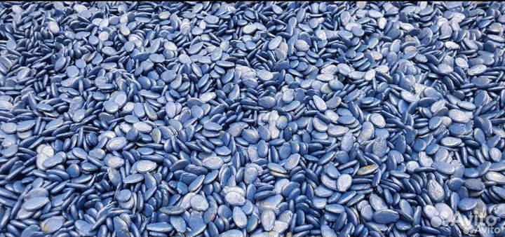 Семена арбуза