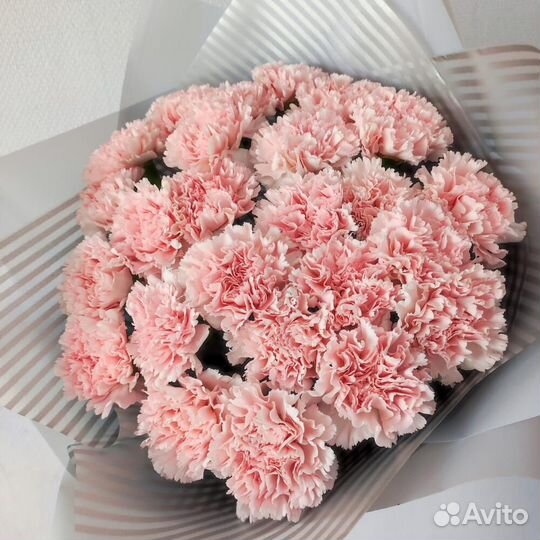 Букет из 25 розовых гвоздик