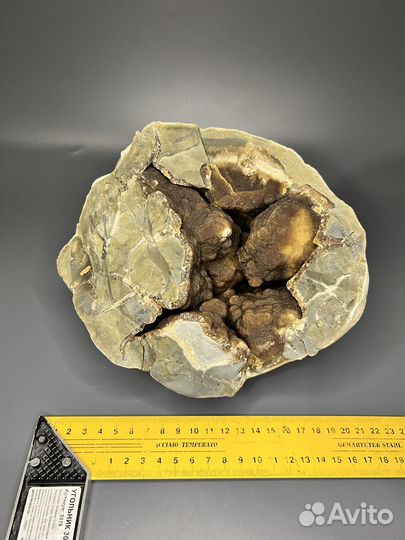 Конкреция кальцитовая