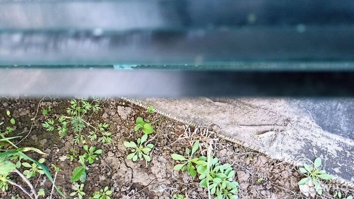 Дверь стеклянная