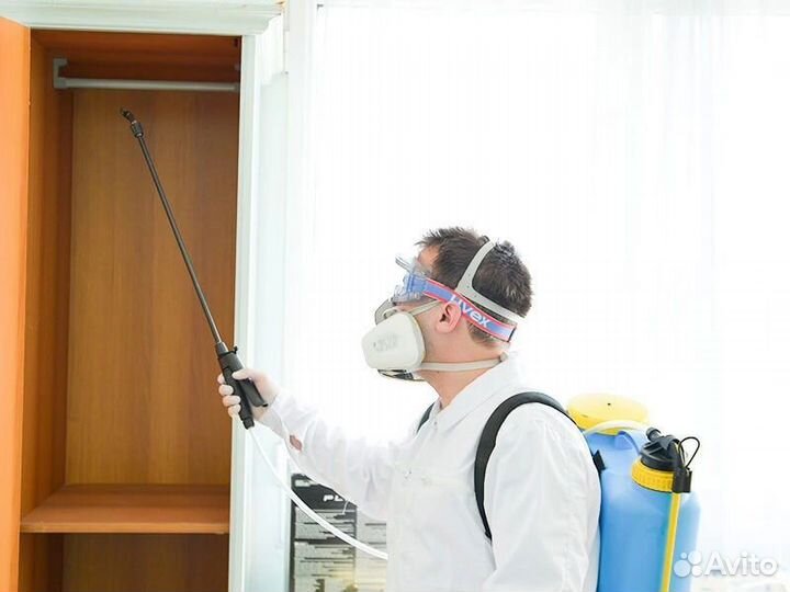 Уничтожение тараканов, дезинфекция