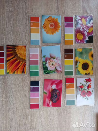 Карточки Цветы, изуч.цветов и их сочетаний