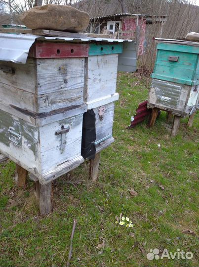 Улики для пчел