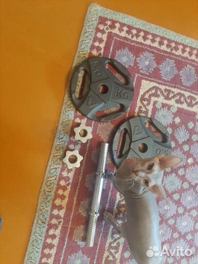 Гантели разборные 10 кг torneo