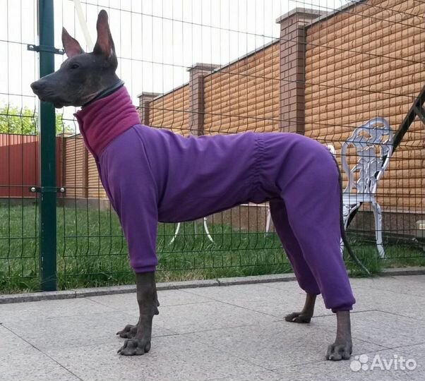 Erna Loos. Одежда для собак и их хозяев