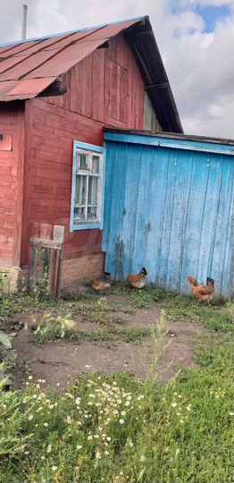 Дом 26 м² на участке 10 сот.