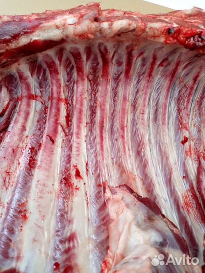 Мясо дикого кабана (арт 004)