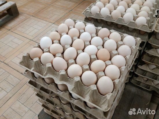 Яйцо куриное