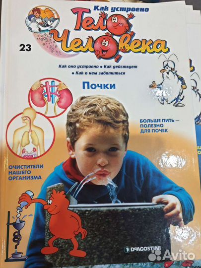 Тело Человека, развивающие книги для детей