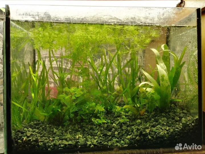 Аквариум 20литров
