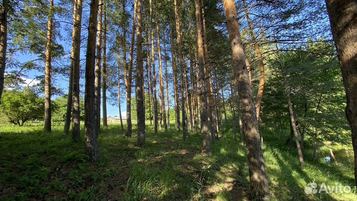 Отдых и рыбалка в Адыгее