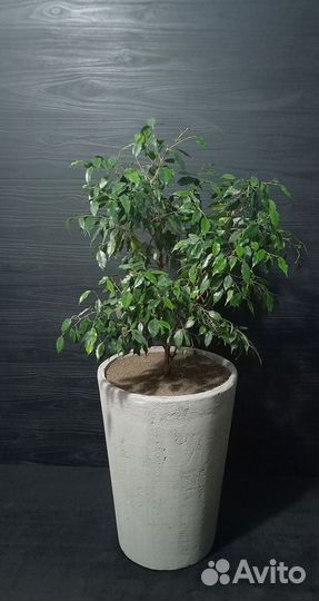 Кашпо, Вазоны, Горшки под заказ из бетона