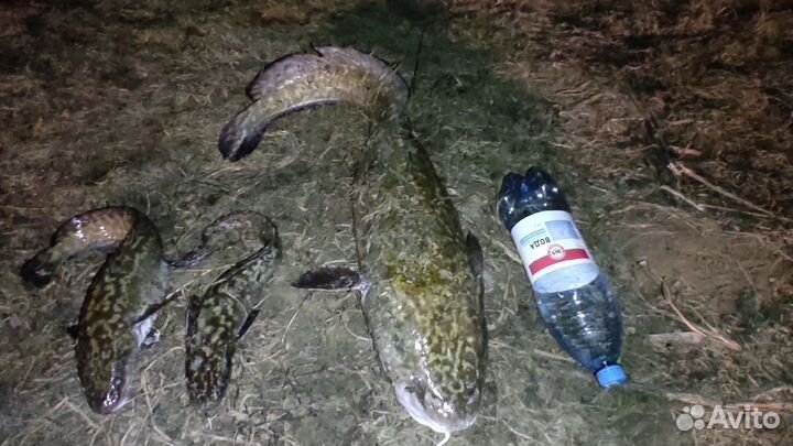 Набор закидушек