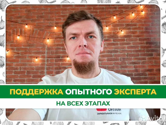 Бизнес для новичков: выращивание чеснока