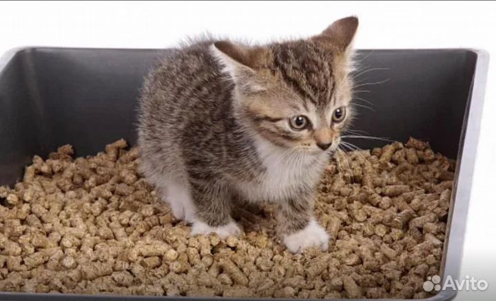 Древесный наполнитель для животных